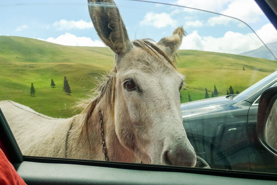 Auto-podróże, Europa, rumunia.