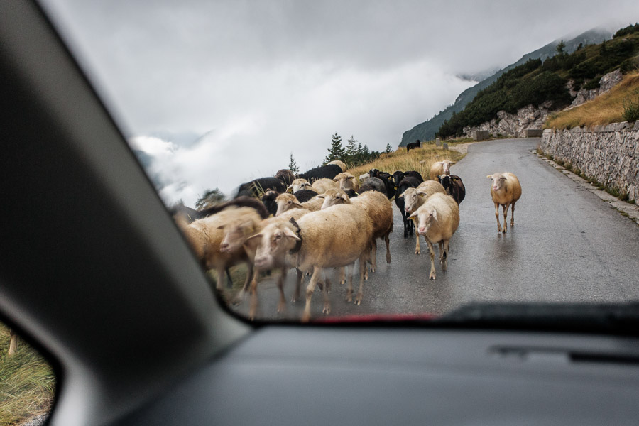 Auto-podróże, Europa, slowenia.